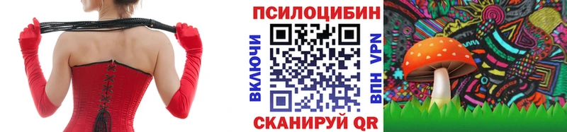 даркнет сайт  нарко площадка какой сайт  Псилоцибиновые грибы мухоморы  Слюдянка  мега ONION 